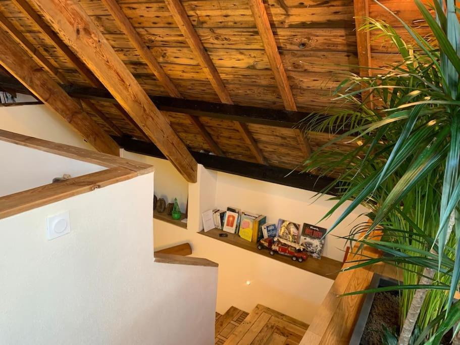 Villa Maison De Reve En Plein Coeur De