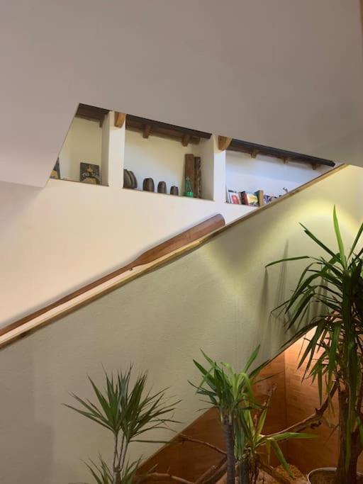 Villa Maison De Reve En Plein Coeur De *