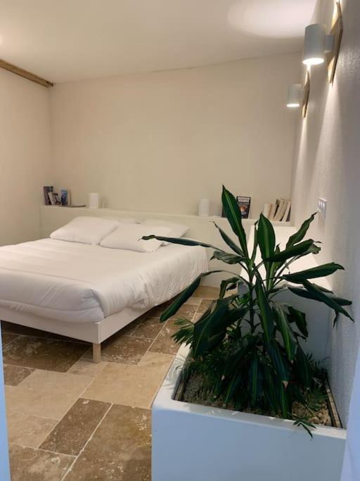 Villa Maison De Reve En Plein Coeur De